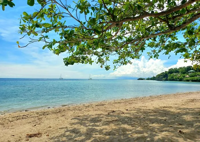 Camotes Santiago