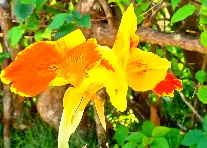 Camotes Villaer Santiago (Camotes Islands)